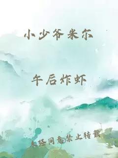 小少爺米爾